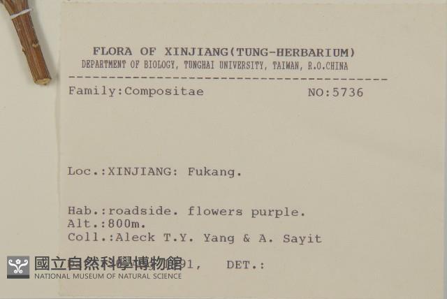 登錄號:S025702藏品圖，第2張