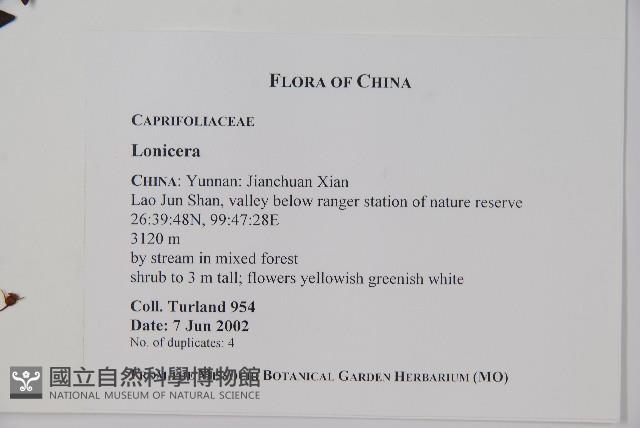 登錄號:S087702藏品圖，第2張