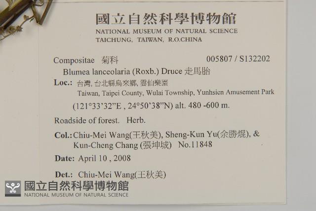 走馬胎藏品圖，第2張