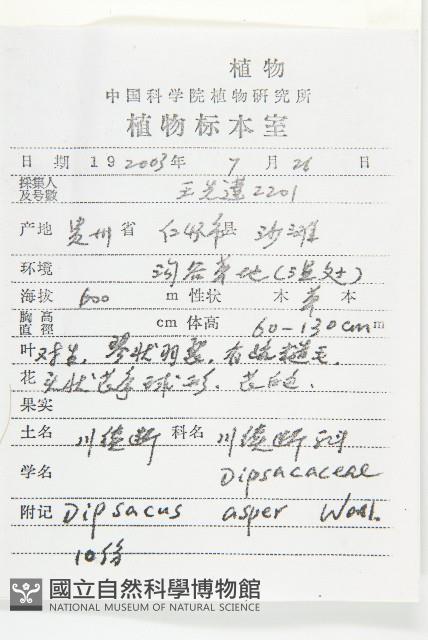 川續斷藏品圖，第2張