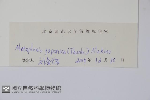 蘿藦藏品圖，第2張