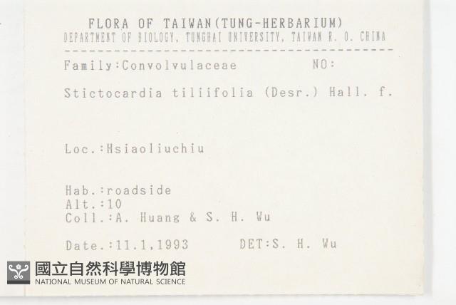 盒果藤藏品圖，第2張