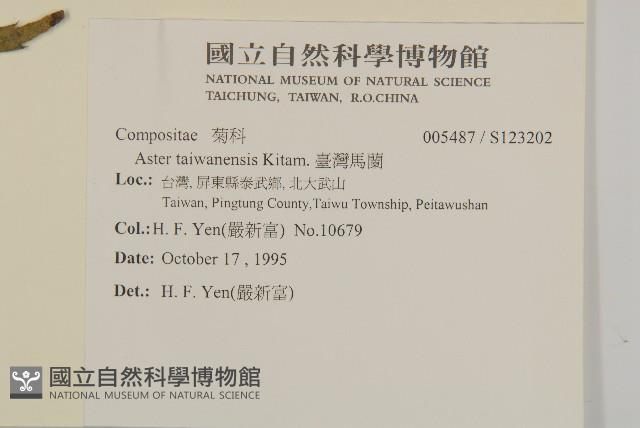 臺灣馬蘭藏品圖，第2張