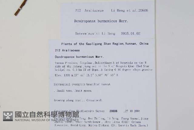 登錄號:S106402藏品圖，第2張