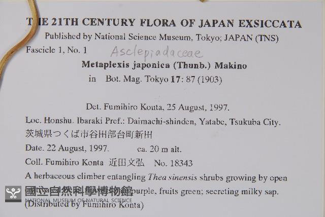 蘿藦藏品圖，第2張