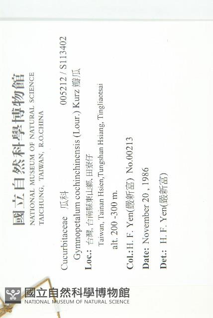 瓣瓜藏品圖，第2張