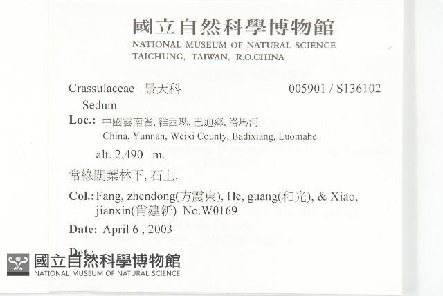 登錄號:S136102藏品圖，第2張