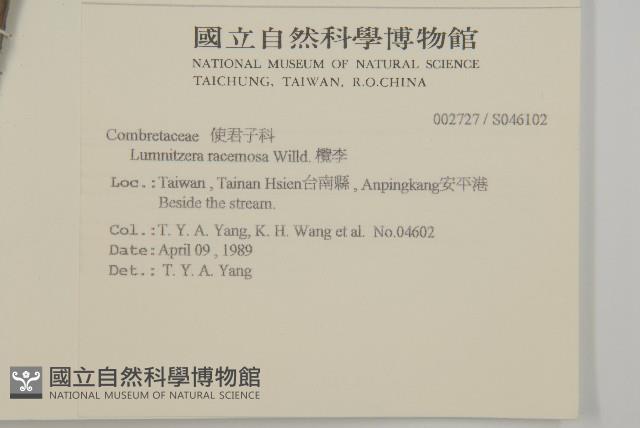 欖李藏品圖，第2張