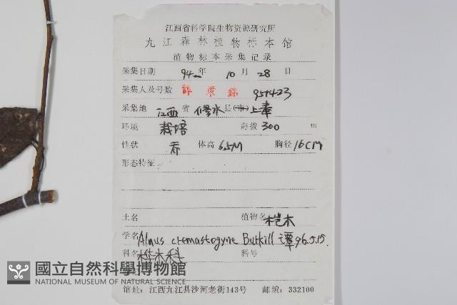 榿木藏品圖，第2張