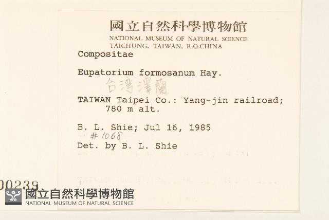 臺灣澤蘭藏品圖，第2張