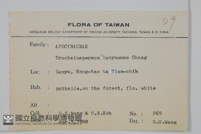 蘭嶼絡石藏品圖，第2張