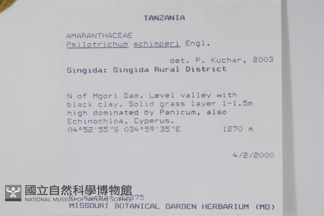 登錄號:S094102藏品圖，第2張