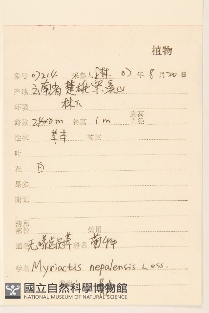 圓舌粘冠草藏品圖，第2張