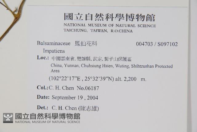 登錄號:S097102藏品圖，第2張