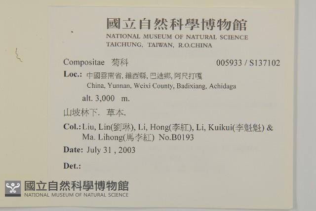 登錄號:S137102藏品圖，第2張