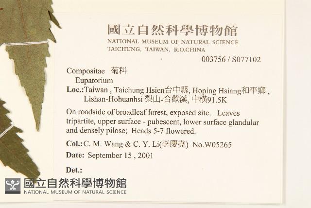 登錄號:S077102藏品圖，第2張