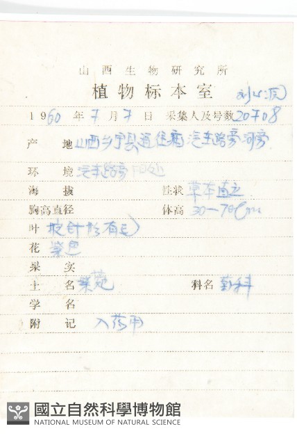 阿爾泰狗哇花藏品圖，第2張