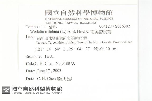 南美蟛蜞菊、三裂葉蟛蜞菊藏品圖，第2張