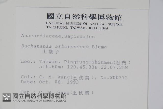 山檨子藏品圖，第2張