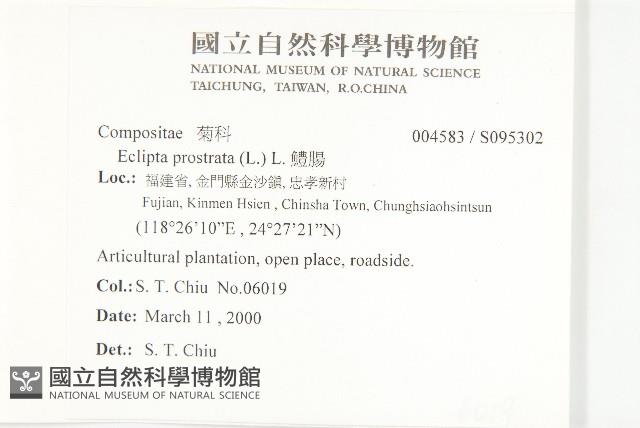 鱧腸藏品圖，第2張