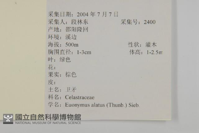 衛矛藏品圖，第2張