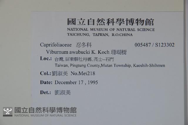 珊瑚樹藏品圖，第2張