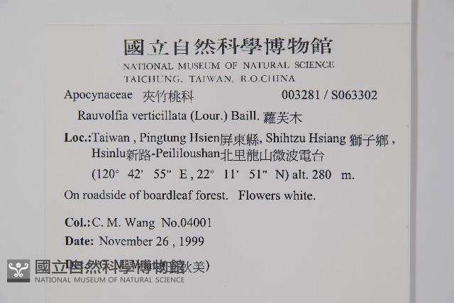 蘿芙木藏品圖，第2張