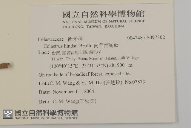 南華南蛇藤，青江藤藏品圖，第2張