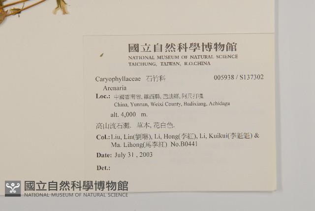 登錄號:S137302藏品圖，第2張