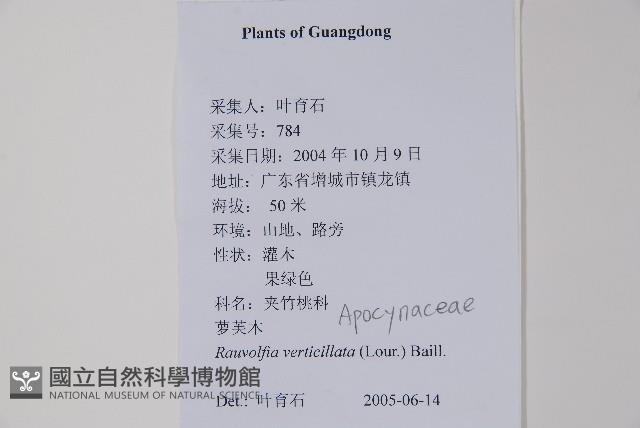 蘿芙木藏品圖，第2張