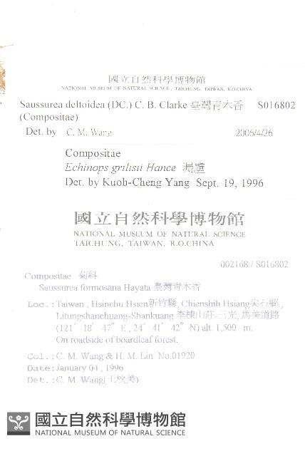 臺灣青木香藏品圖，第2張