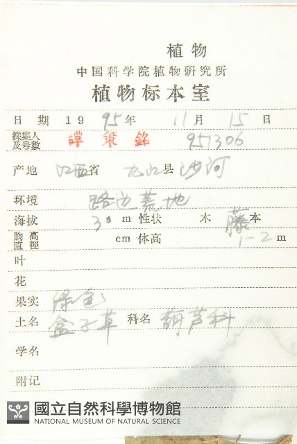 合子草藏品圖，第2張