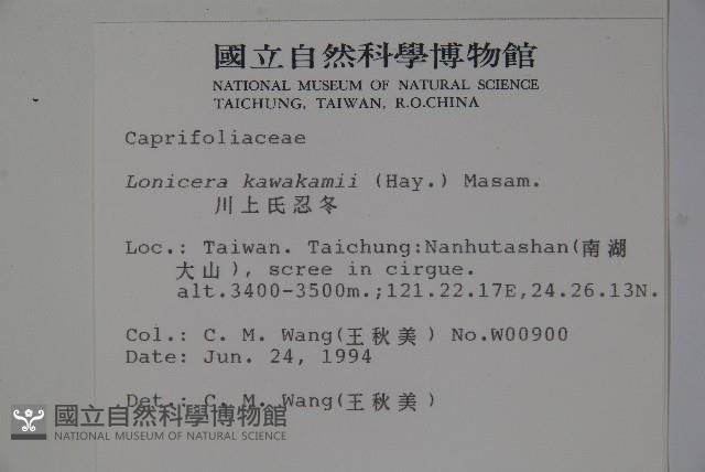 川上氏忍冬藏品圖，第2張