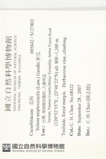 茅瓜藏品圖，第2張