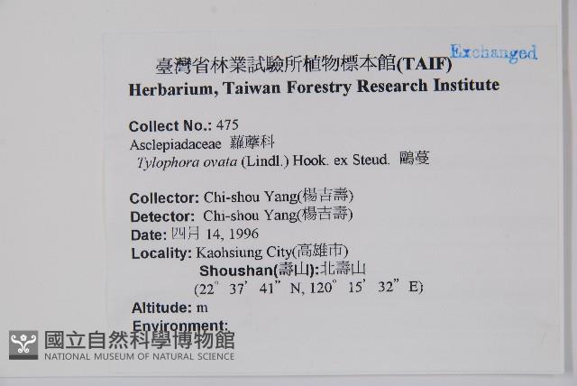 鷗蔓藏品圖，第2張