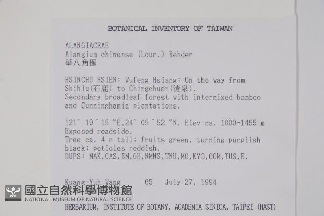 華八角楓藏品圖，第2張