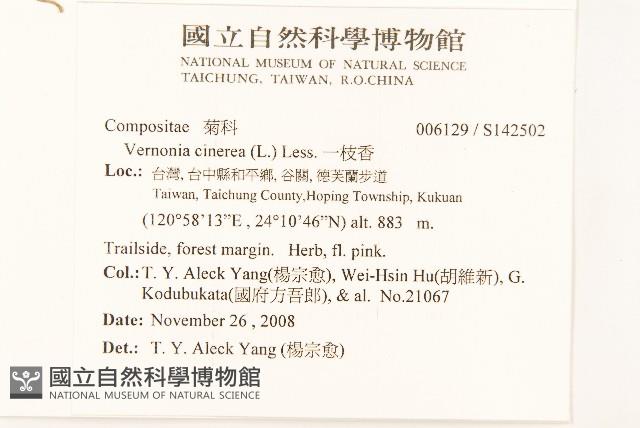 一枝香藏品圖，第2張