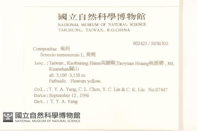 黃菀藏品圖，第2張