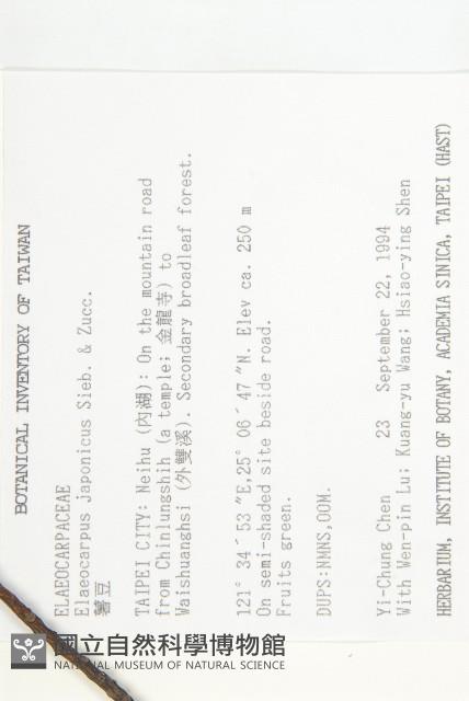 薯豆藏品圖，第2張