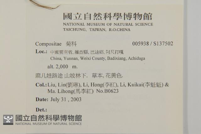 登錄號:S137502藏品圖，第2張