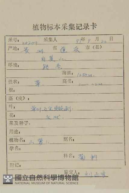 華薊藏品圖，第2張