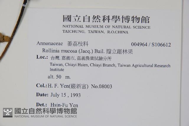 瓣立羅林果藏品圖，第2張