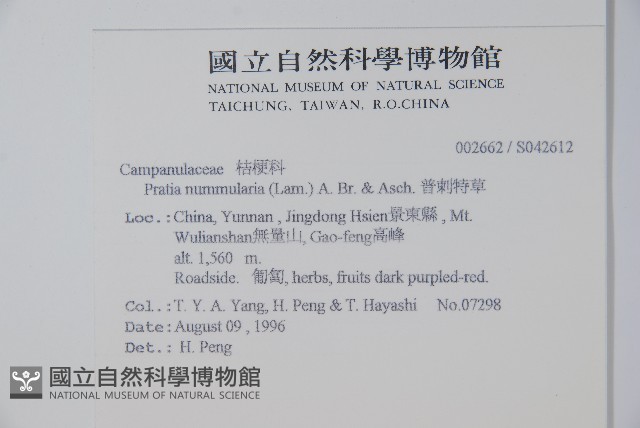 普剌特草藏品圖，第2張