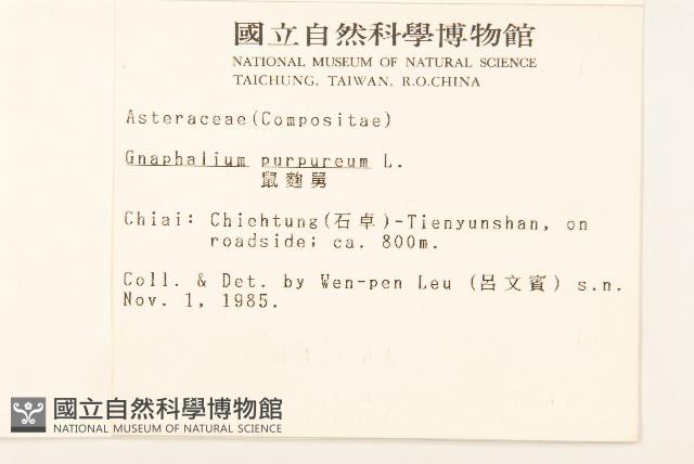 鼠麴舅藏品圖，第2張