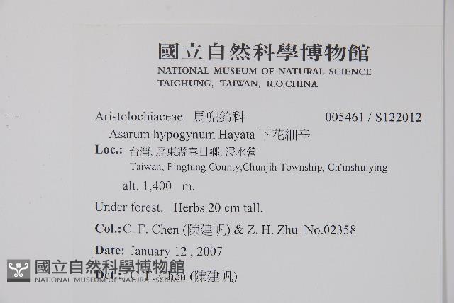 下花細辛藏品圖，第2張