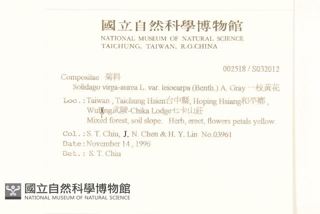 一枝黃花藏品圖，第2張