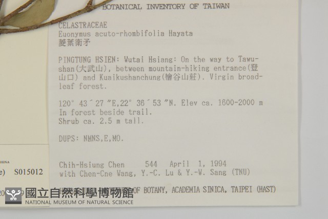 菱葉衛矛藏品圖，第2張