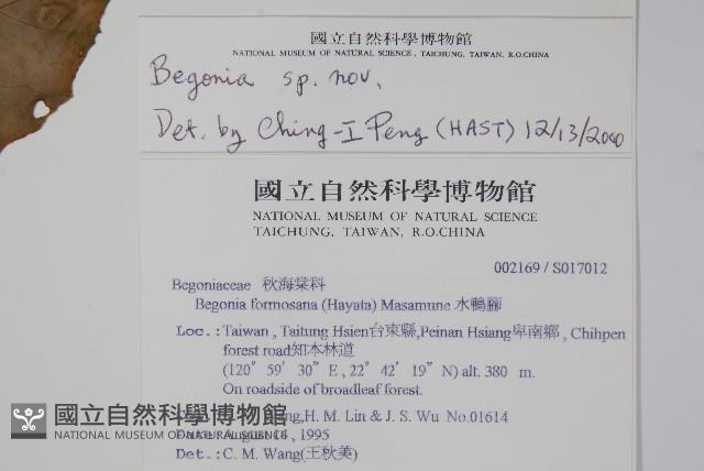 登錄號:S017012藏品圖，第2張