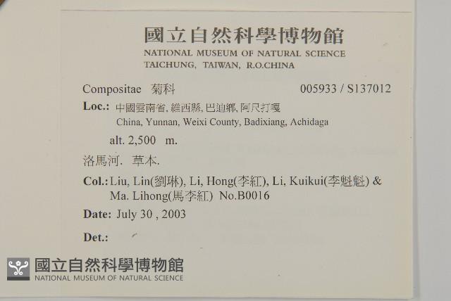 登錄號:S137012藏品圖，第2張