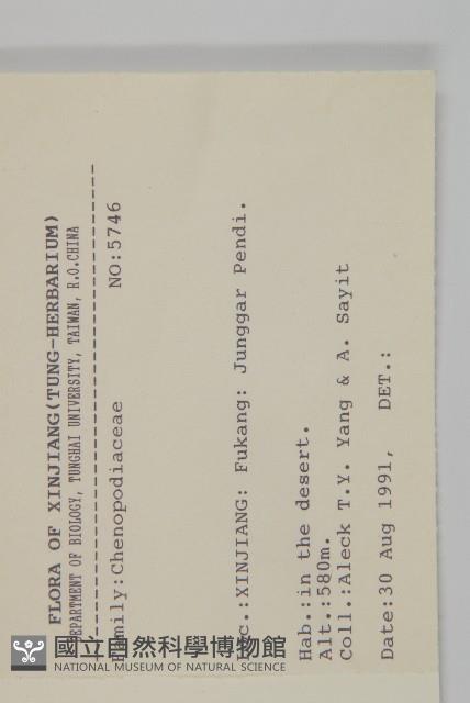 登錄號:S025712藏品圖，第2張